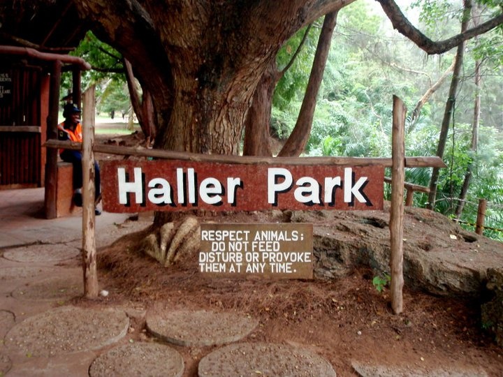 Silent Groove - Early Bird preview